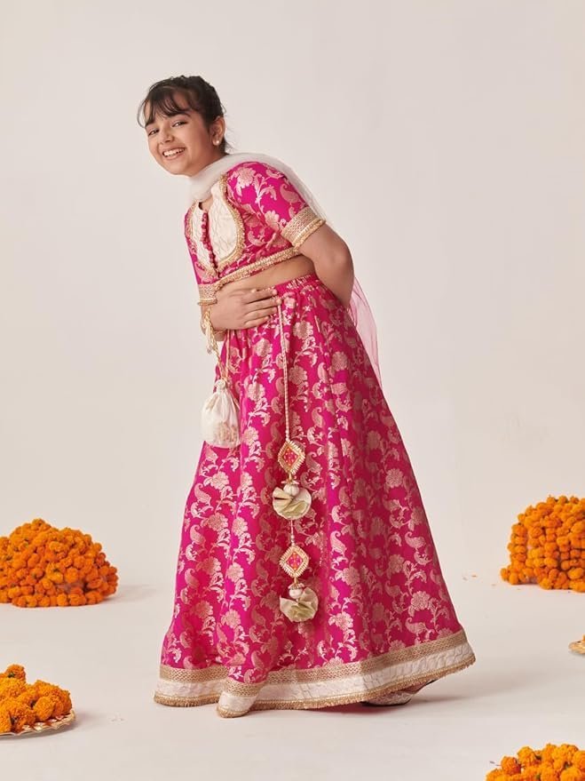 Lehenga Cholis - Image 3
