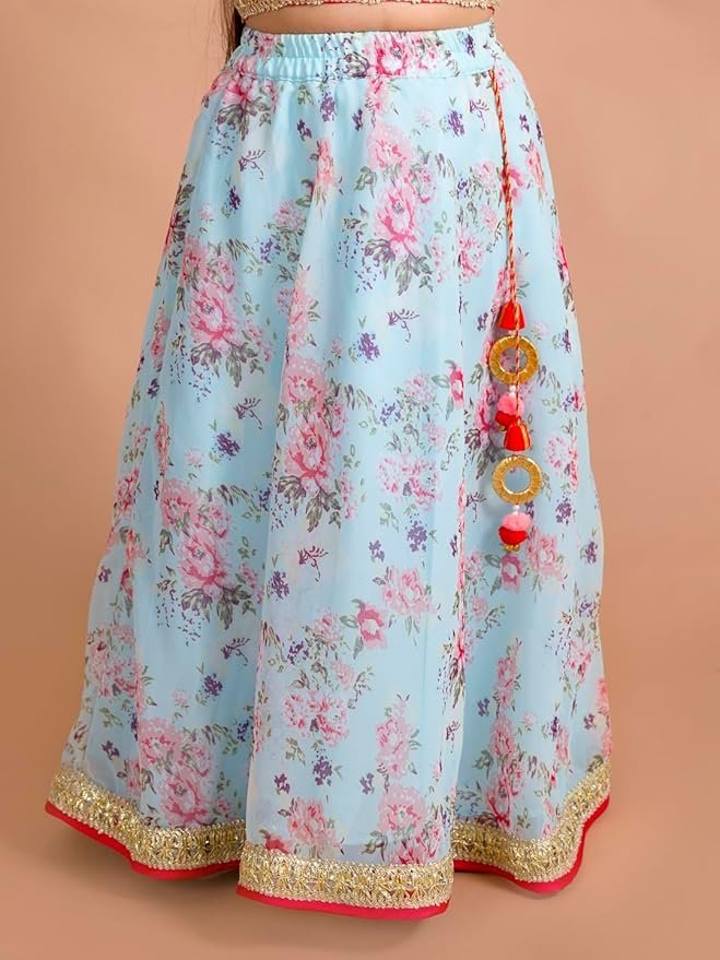 Lehenga Cholis - Image 5